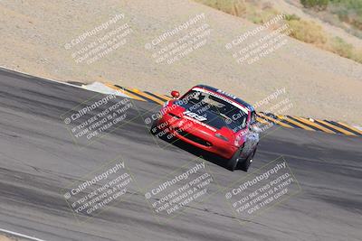 media/Oct-14-2023-Lucky Dog Racing (Sat) [[cef75db616]]/Turn 12 Exit-Bowl Backside (230pm)/